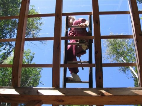 Tea House roof framing + Inglese on ladder