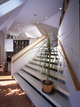 Hapgood residence studio stairs